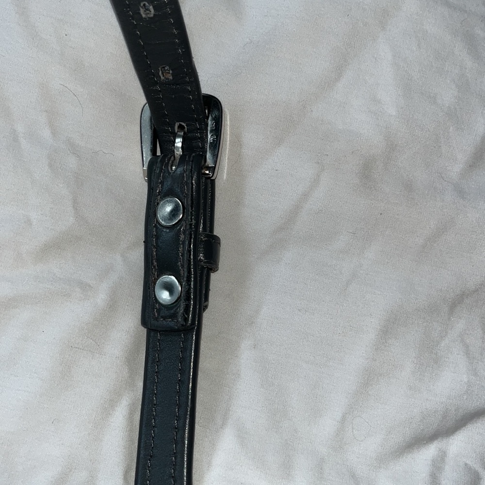 Belt - Picture 5 of 6
